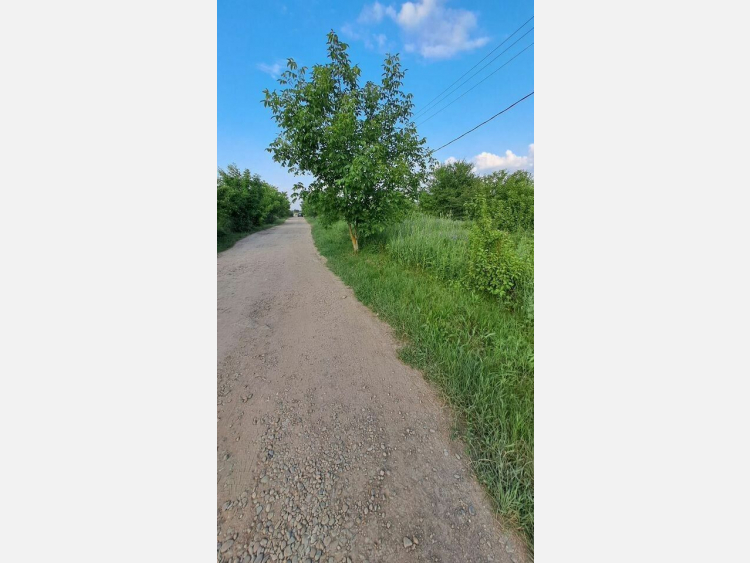 Участок, 9.80 сот., ИЖС фото 1