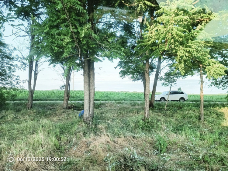 Участок, 14.00 сот., ИЖС фото 11
