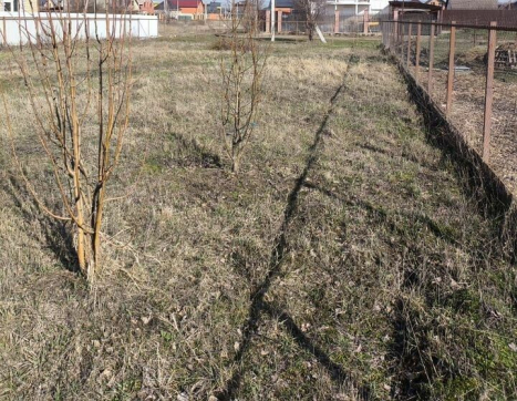 Участок фото 6