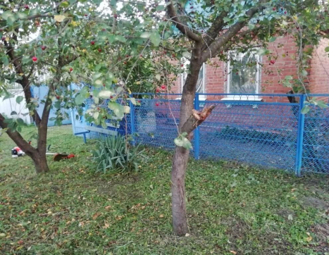 Участок фото 2