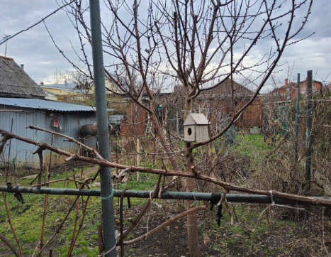 Участок фото 4
